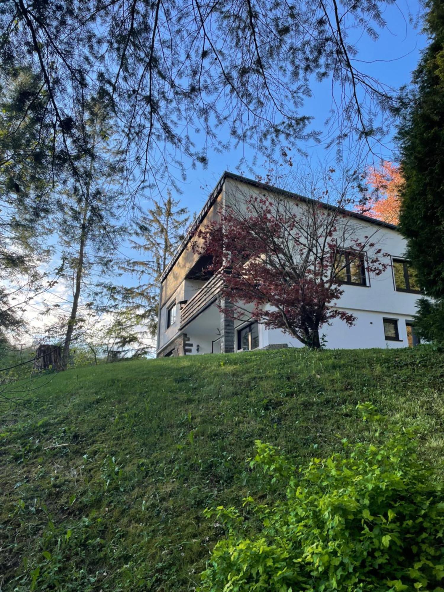 Talblick Chalet Blankenheim Exterior photo